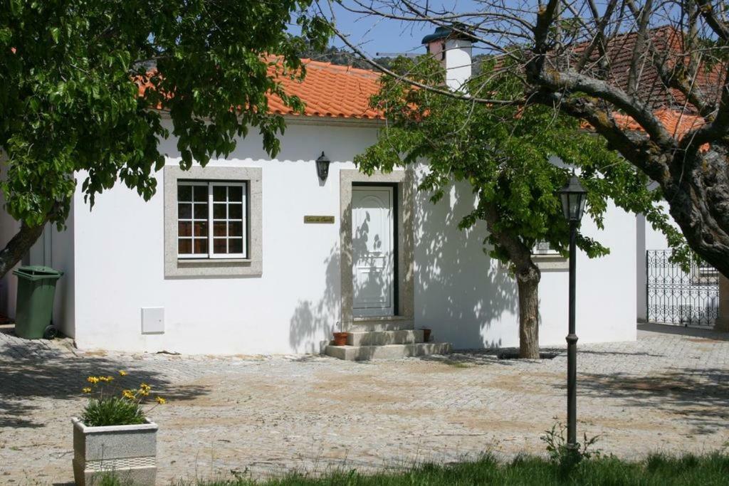 빌라 플로 Quinta Sta Luzia Carrascal 빌라 외부 사진